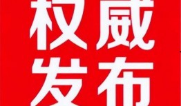 济南爆料最新信息今天,突发事件引发全城关注！